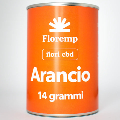 Fiori Canapa Arancio