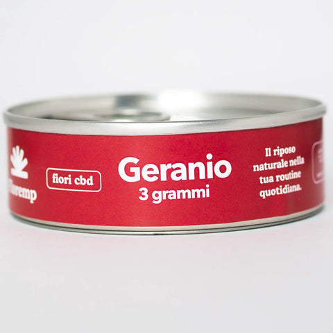 Fiori Canapa Geranio