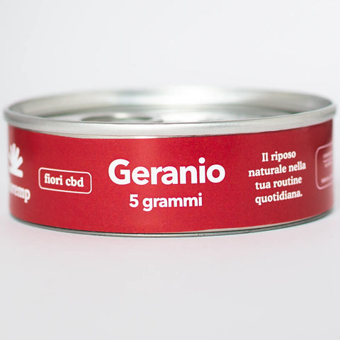 Fiori Canapa Geranio